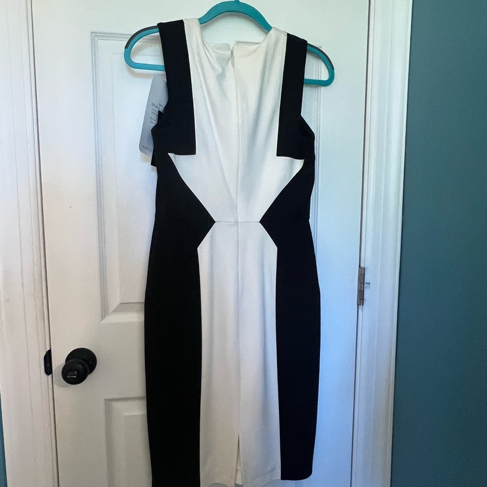 BCBG “Evelyn” Blocked Sheath Dress.